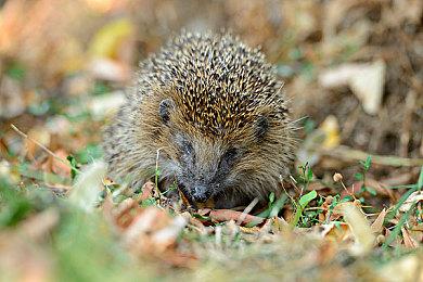 疑似《潜行者2》早期开发截图曝光 2023年发售